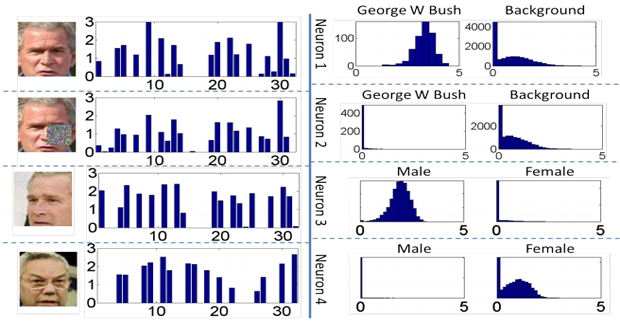 ��������.(HAHA)ʮ����Ӫ,��������